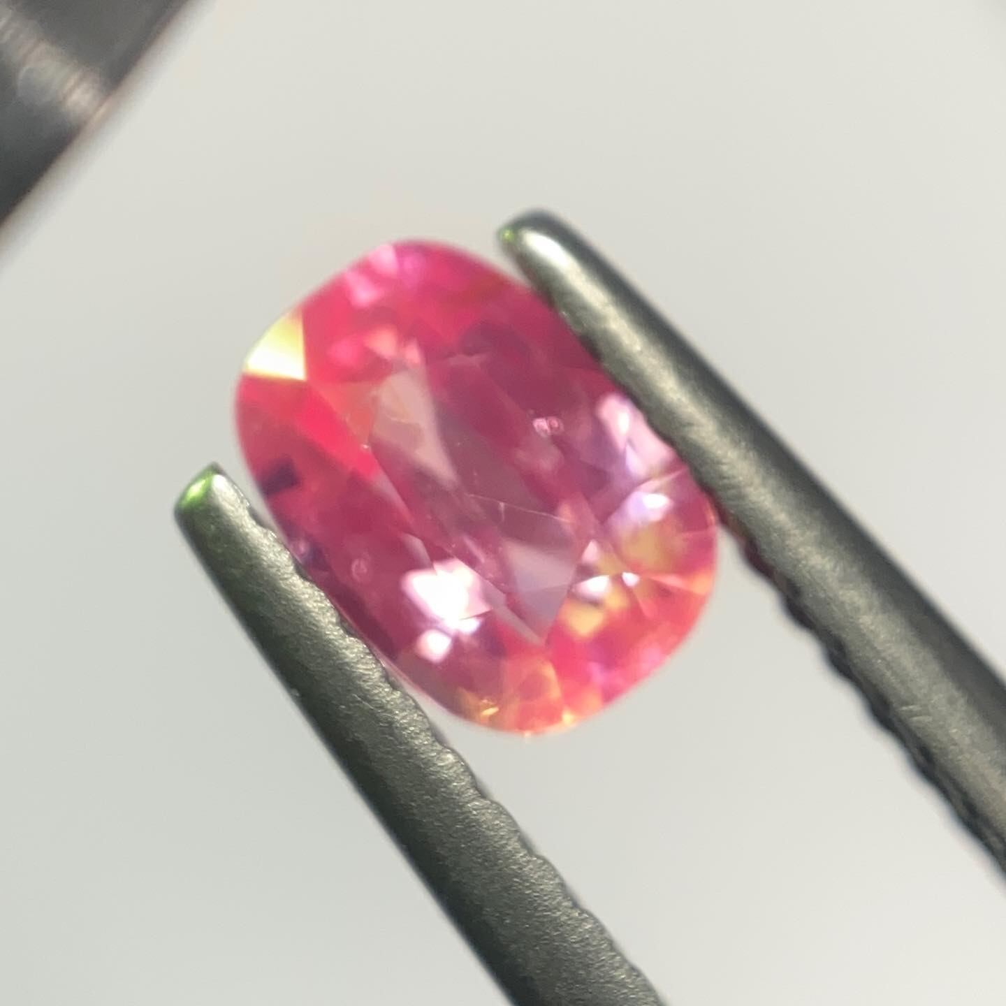 インスタライブ　サファイアNo.9