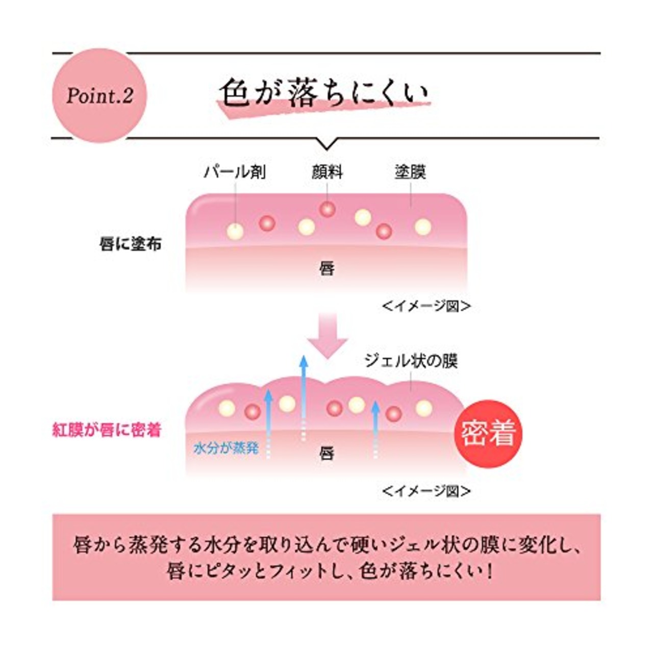 コフレドール ルージュ ピュアリーステイルージュ RD-223