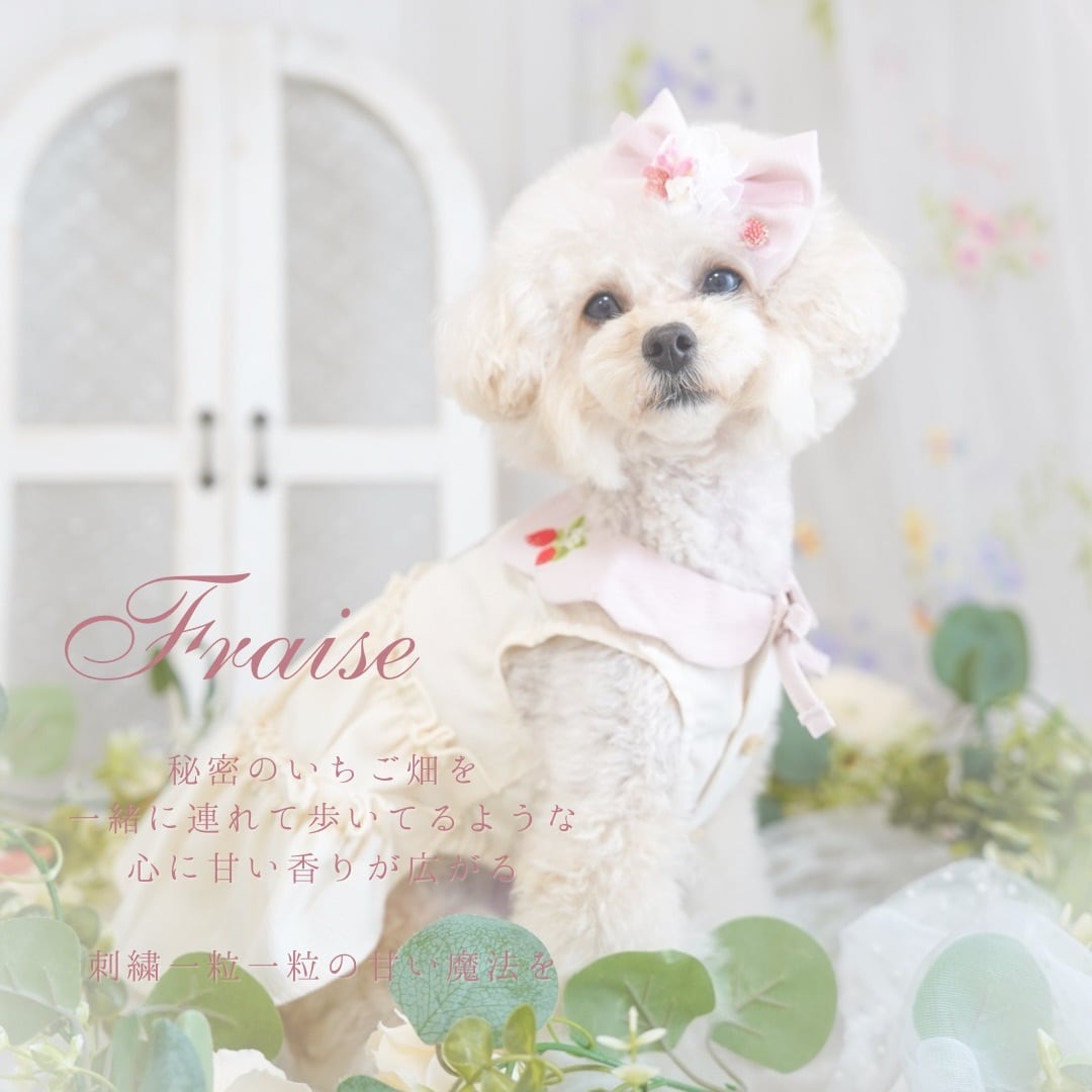 なす様オーダー品　hanahana犬服ハンドメイド hannah