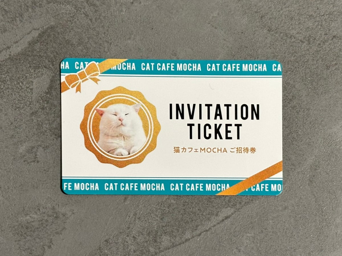 猫カフェMOCHA ギフト券 | 猫カフェMOCHA