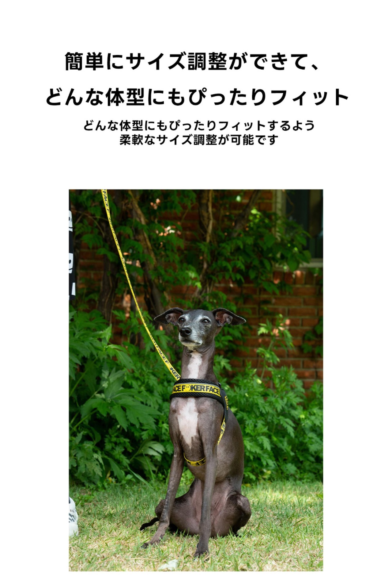 【PUPPYGALLERY公式】Vハーネス　XS/S