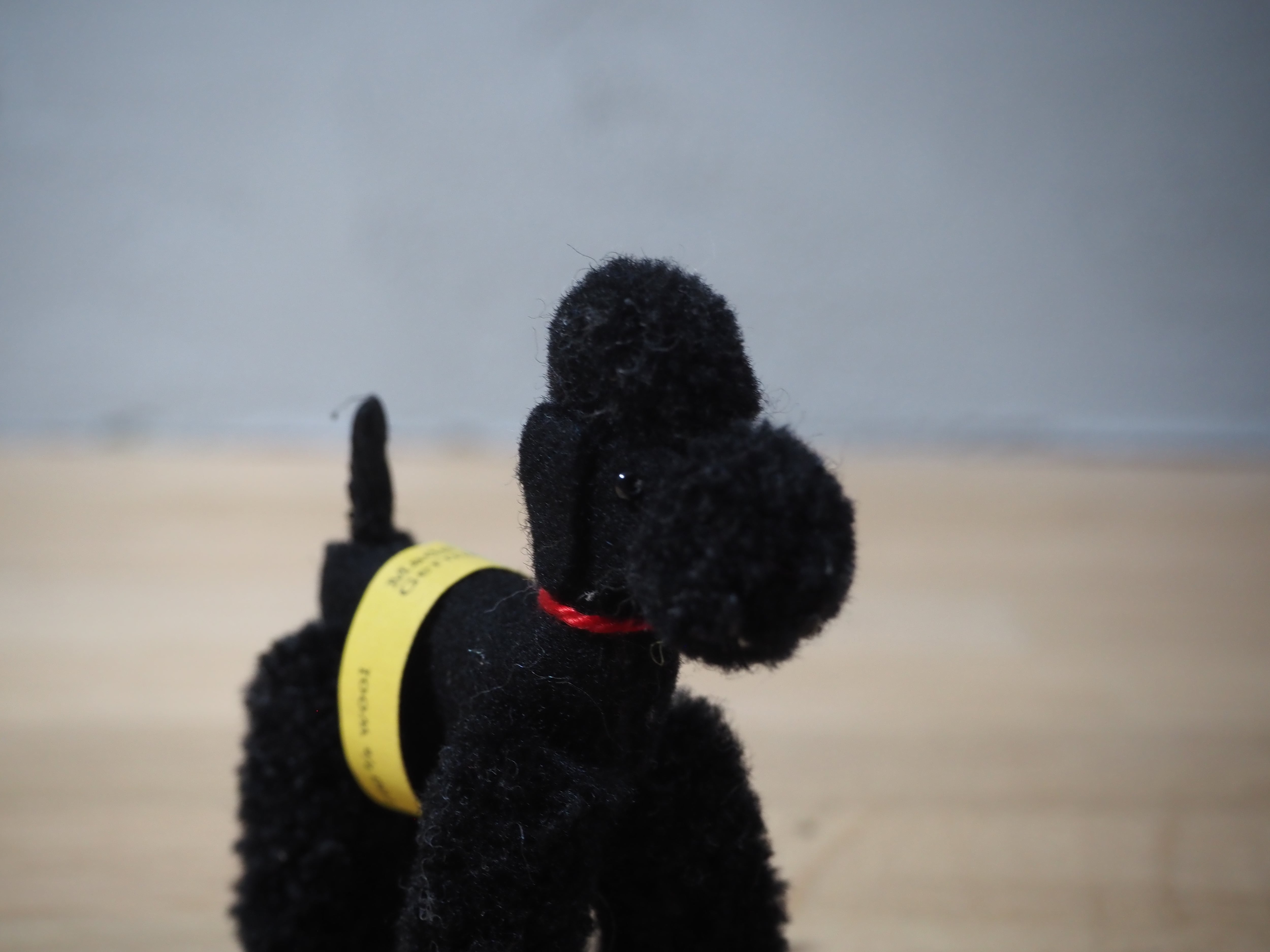 オールド シュタイフ プードル Steiff Woolen Poodle black