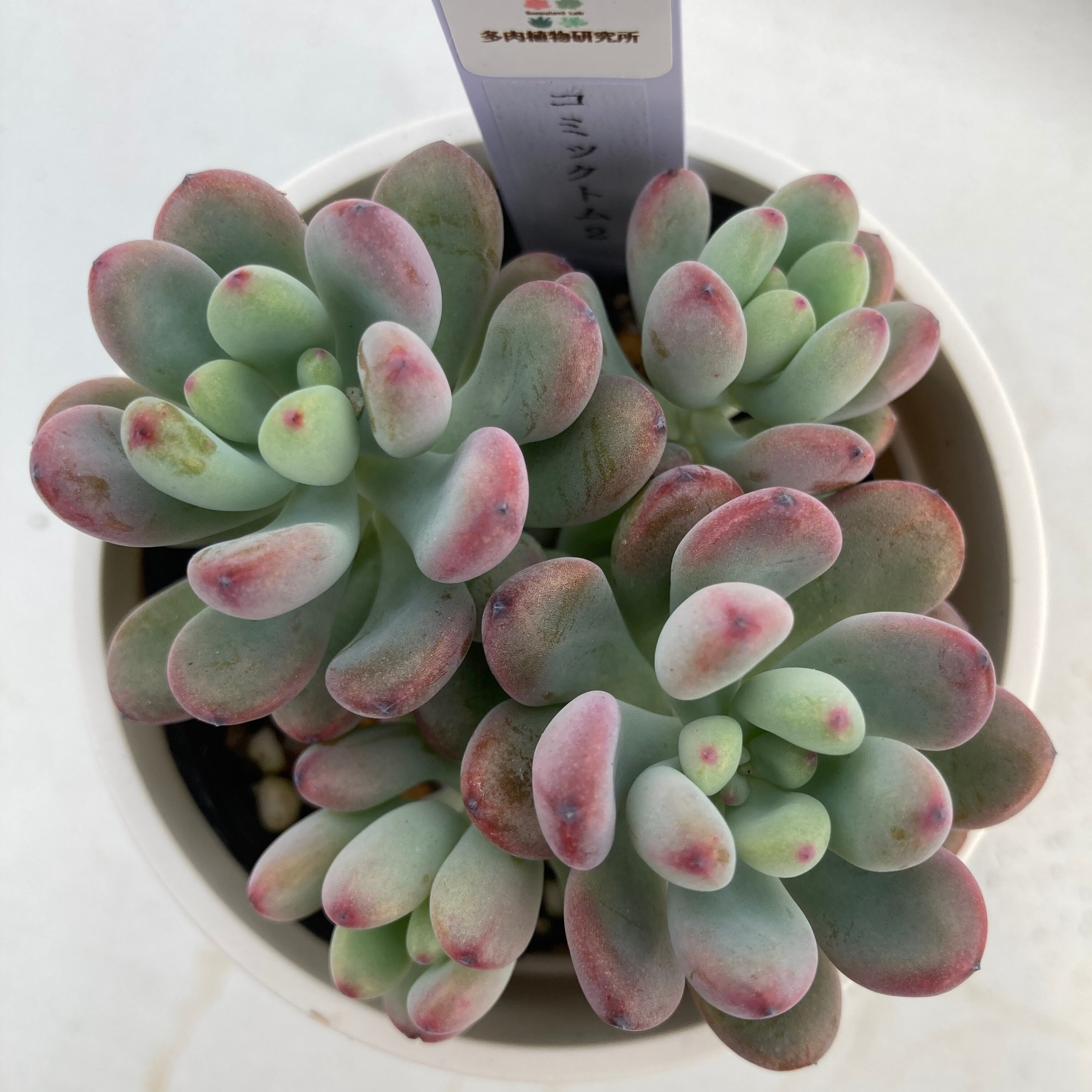 ad90bfee909e1a8a87fe6e4bbd23ed