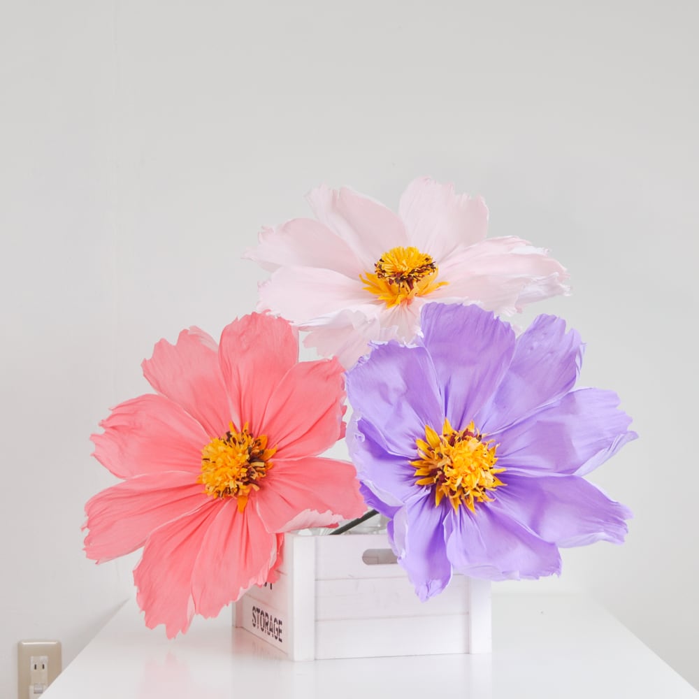 帯1　WAKKA　モードフラワー　コスモス　えんじ　長尺　未使用品 FLB-8078_LV.jpg