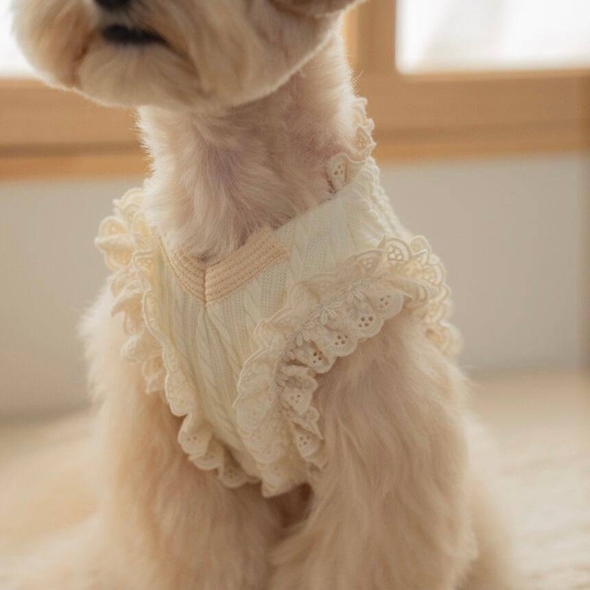 【Dailypetchon】Bongbong Lovely Knit Bustier