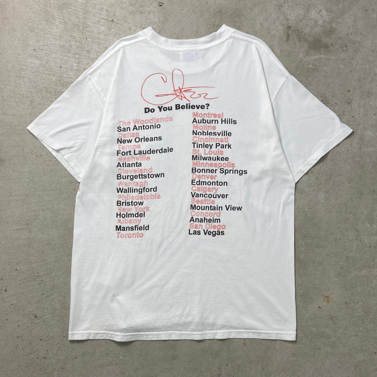 90年代 Cher シェール アーティスト バンドTシャツ バンT ツアー 