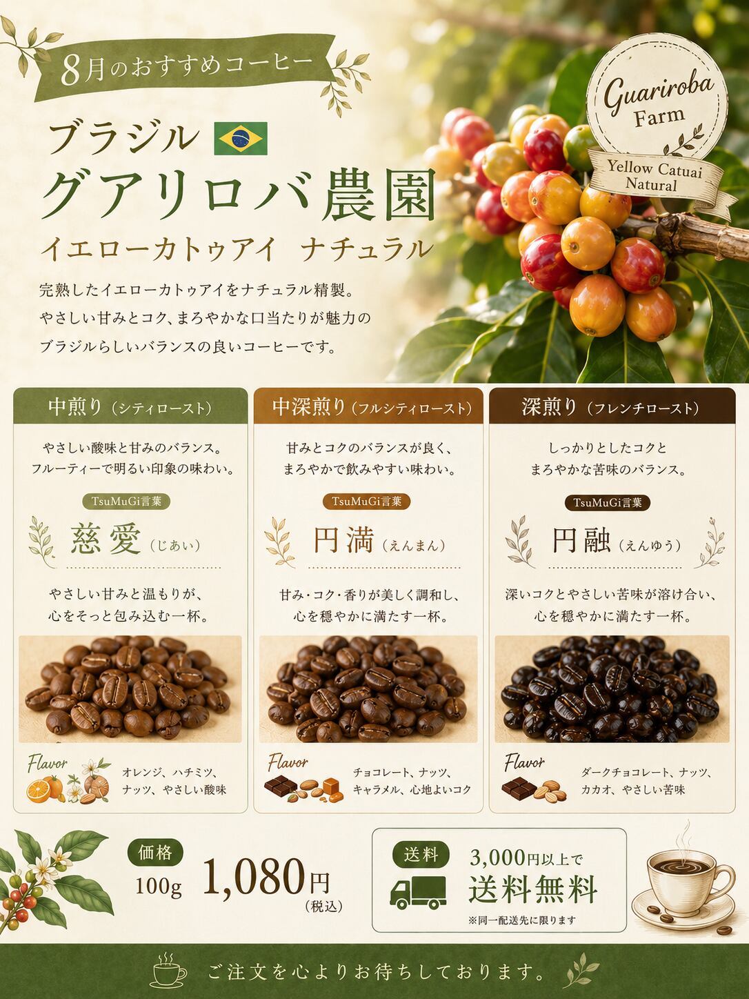 8月のおすすめコーヒー ブラジル グアリロバ農園 イエローカトゥアイ ナチュラル