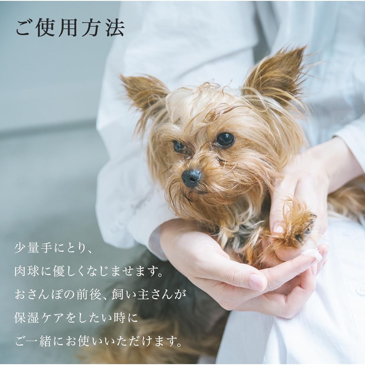 Hmittel クリーム 50g 3個セット 51Z6cIeRY8L.jpg_BO30,255,255,