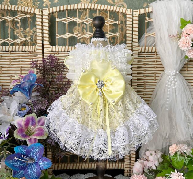 《予約》3102471 イエローレースドレス