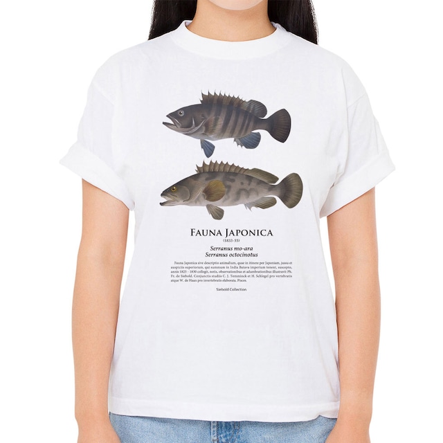 【マハタ・クエ】シーボルトコレクション魚譜Tシャツ（高解像・昇華プリント）