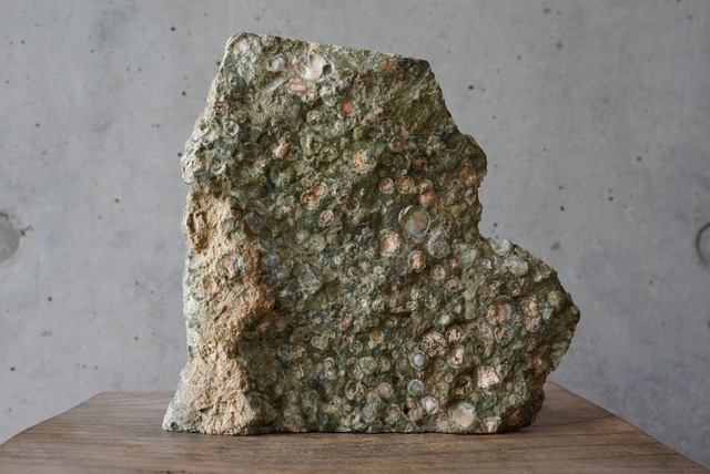 レインフォレスト・ジャスパー　Rainforest Jasper 747