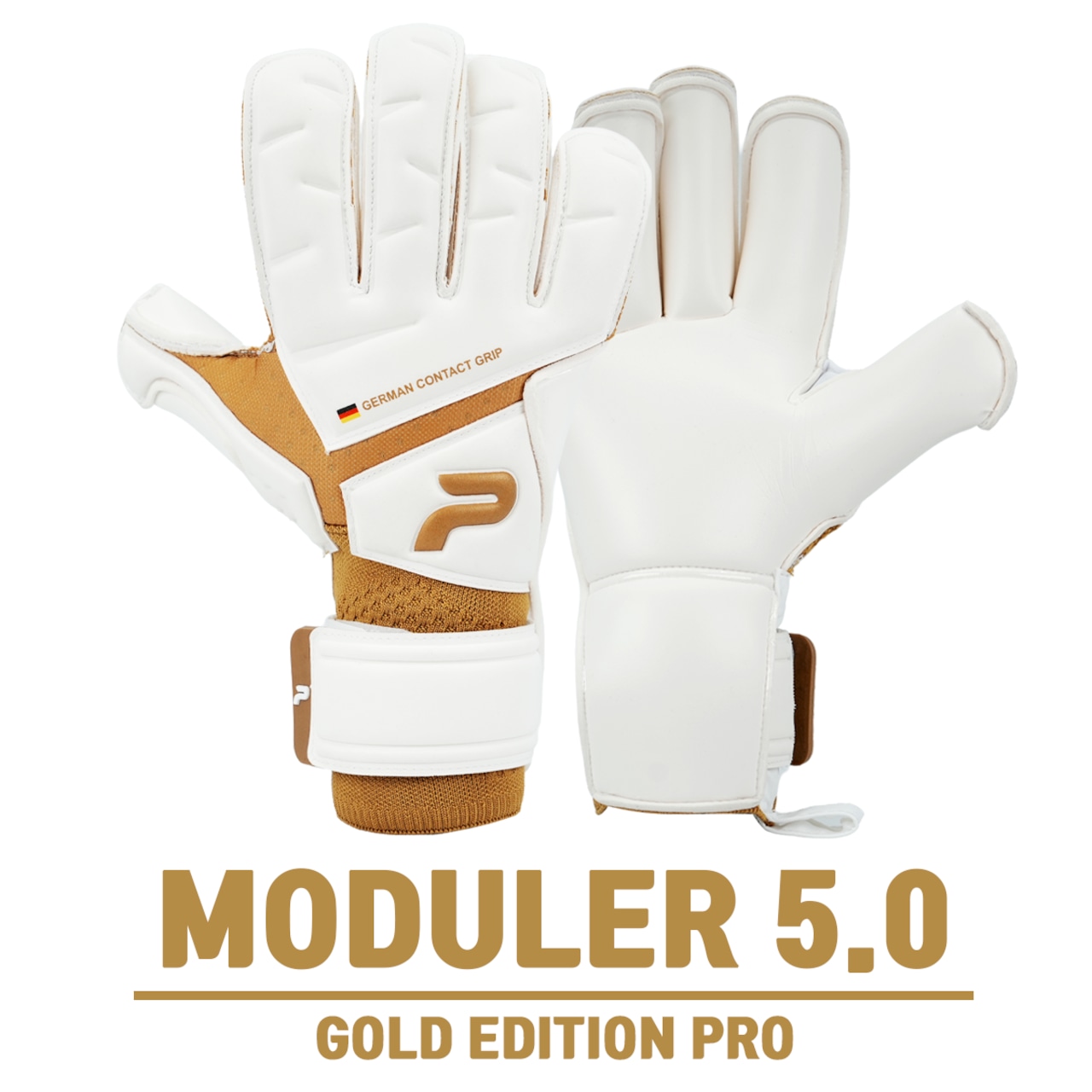 MODULER 5.0 GOLD EDITION PRO