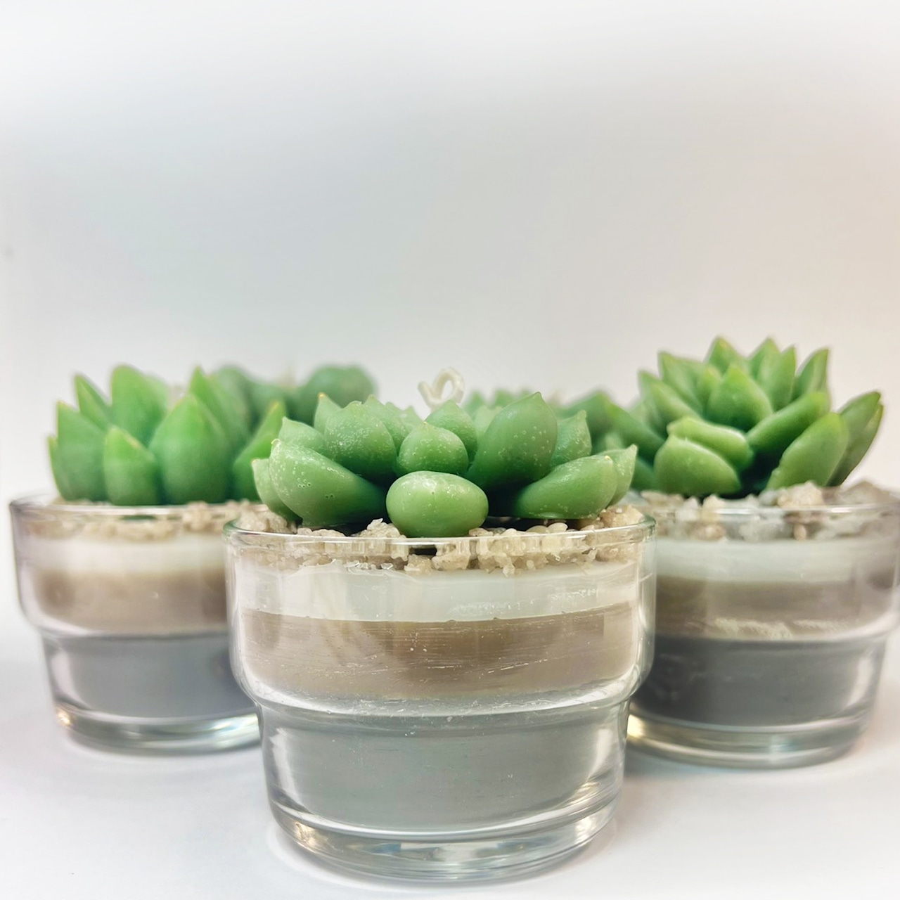 【5種類から選べれます】多肉植物アロマキャンドル