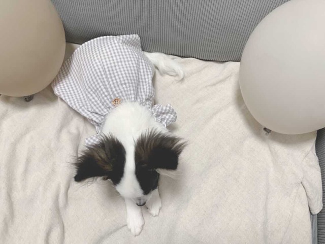 ナチュラルチェックワンピース