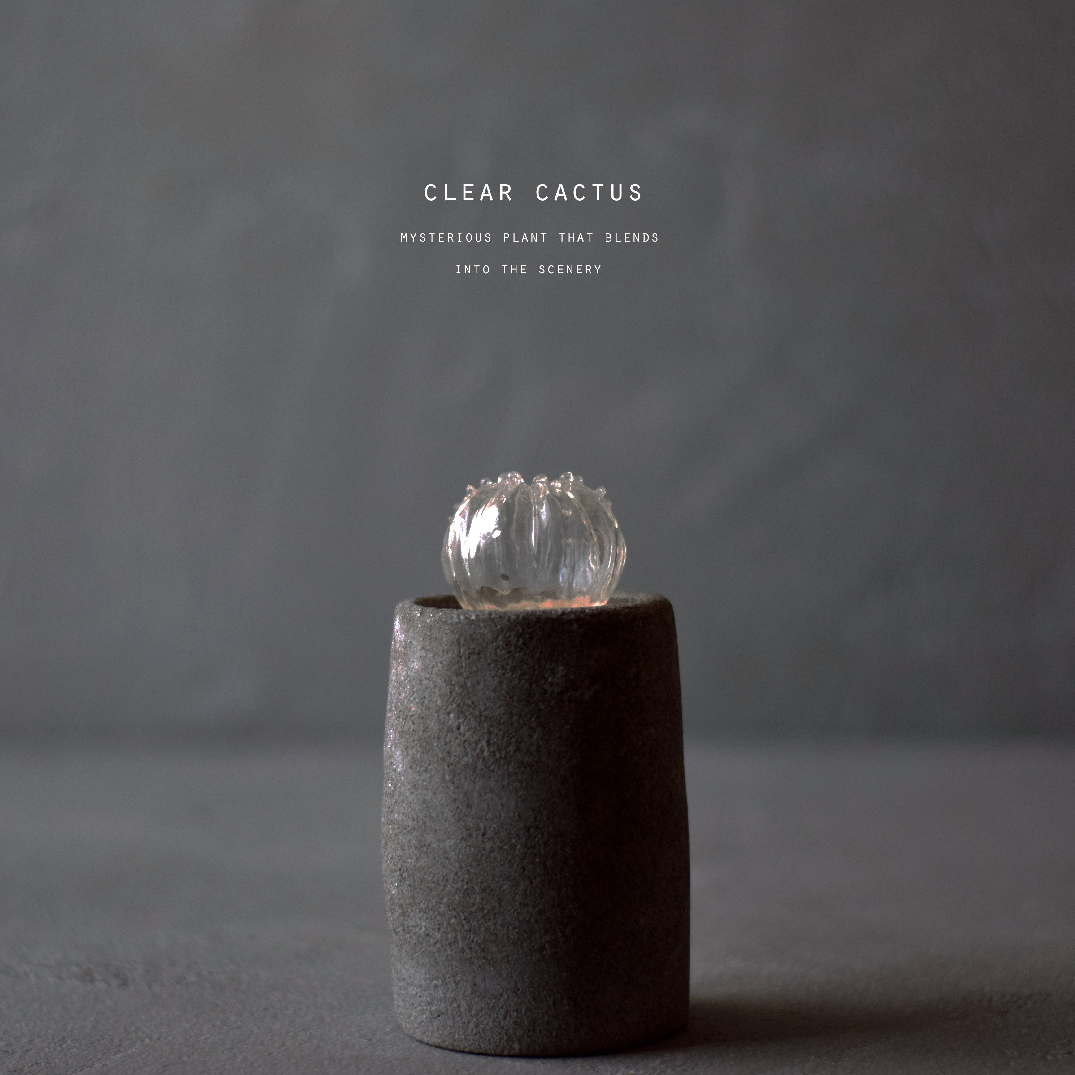 透明サボテン 透明サボテン 003 | Sabotensi