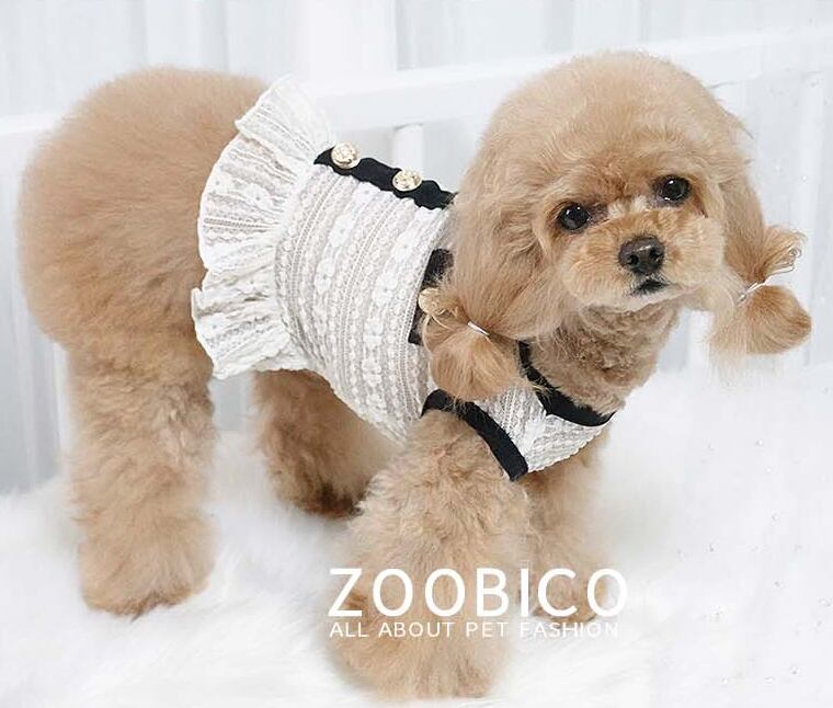 【SALE】cha see-through crop top XS ~ XL 2color / 犬服 春夏 新作 Tシャツ ドッグウェア ショート丈 シースルー 袖なし 小型犬 中型犬 クロップドトップス 涼しい お揃い シンプル