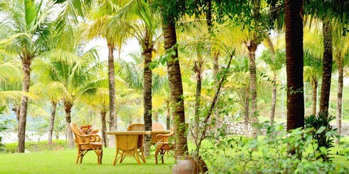 トロピカルガーデン