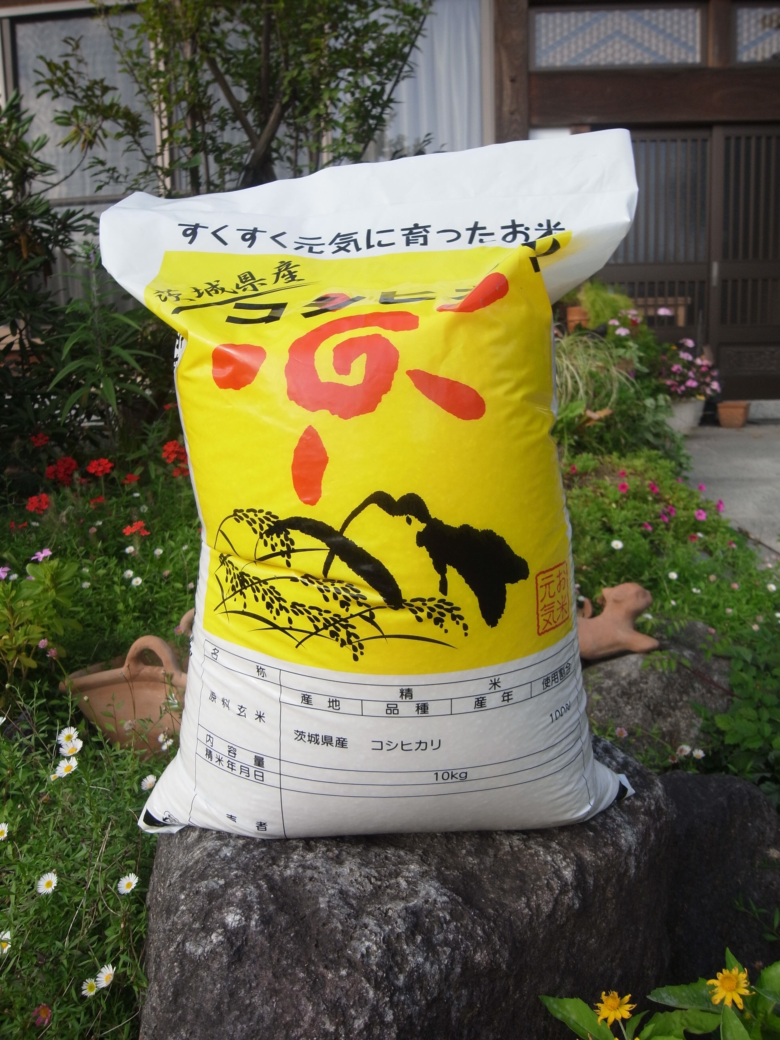 茨城県　新米　コシヒカリ　30Kg-