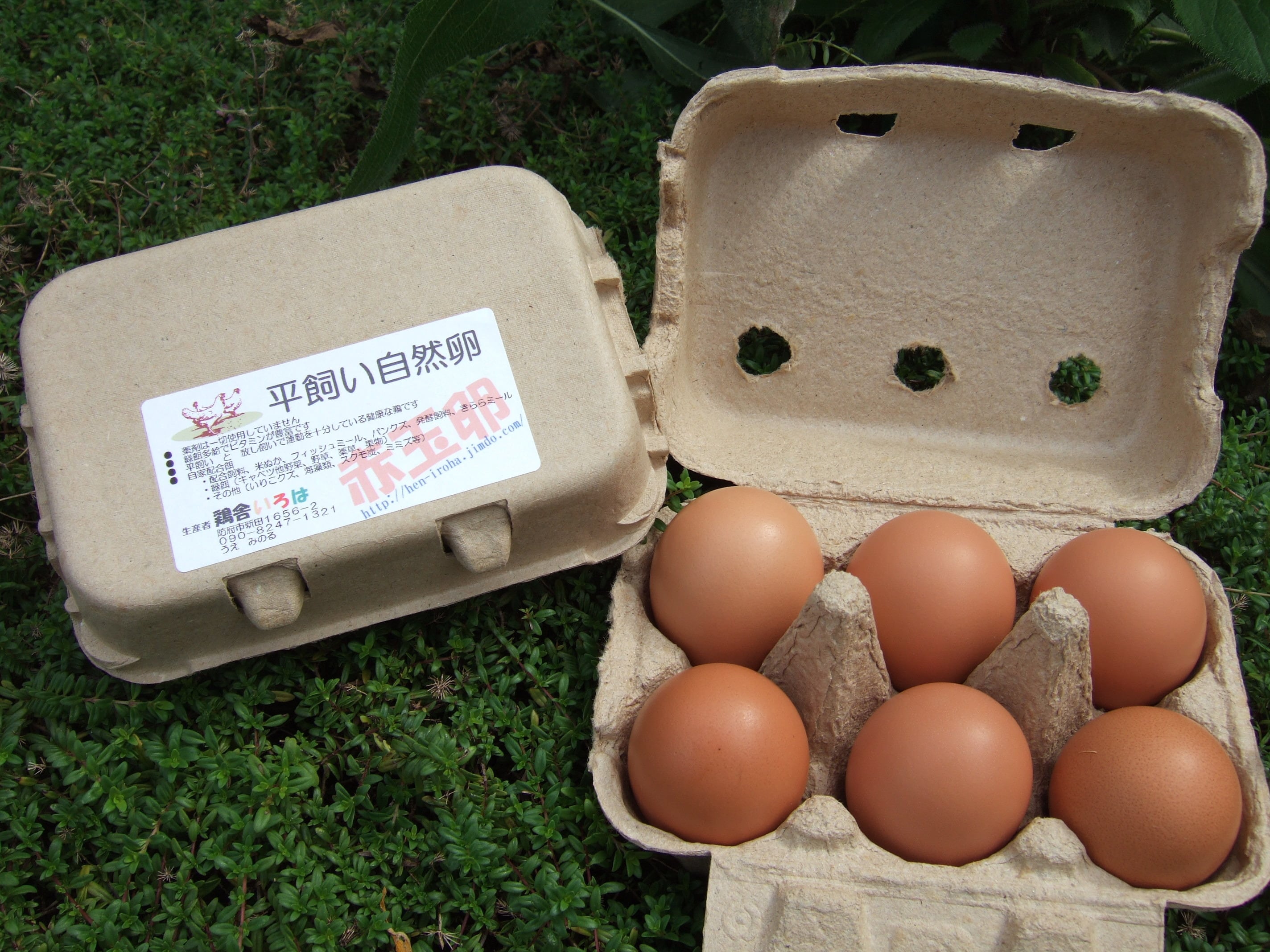 赤玉卵 紙パック6個入り | 「鶏舎いろは」の美味しい卵