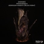 【送料無料】Hohenbergia leopoldo-horstii (Black form)〔ホヘンベルギア〕現品発送H0081