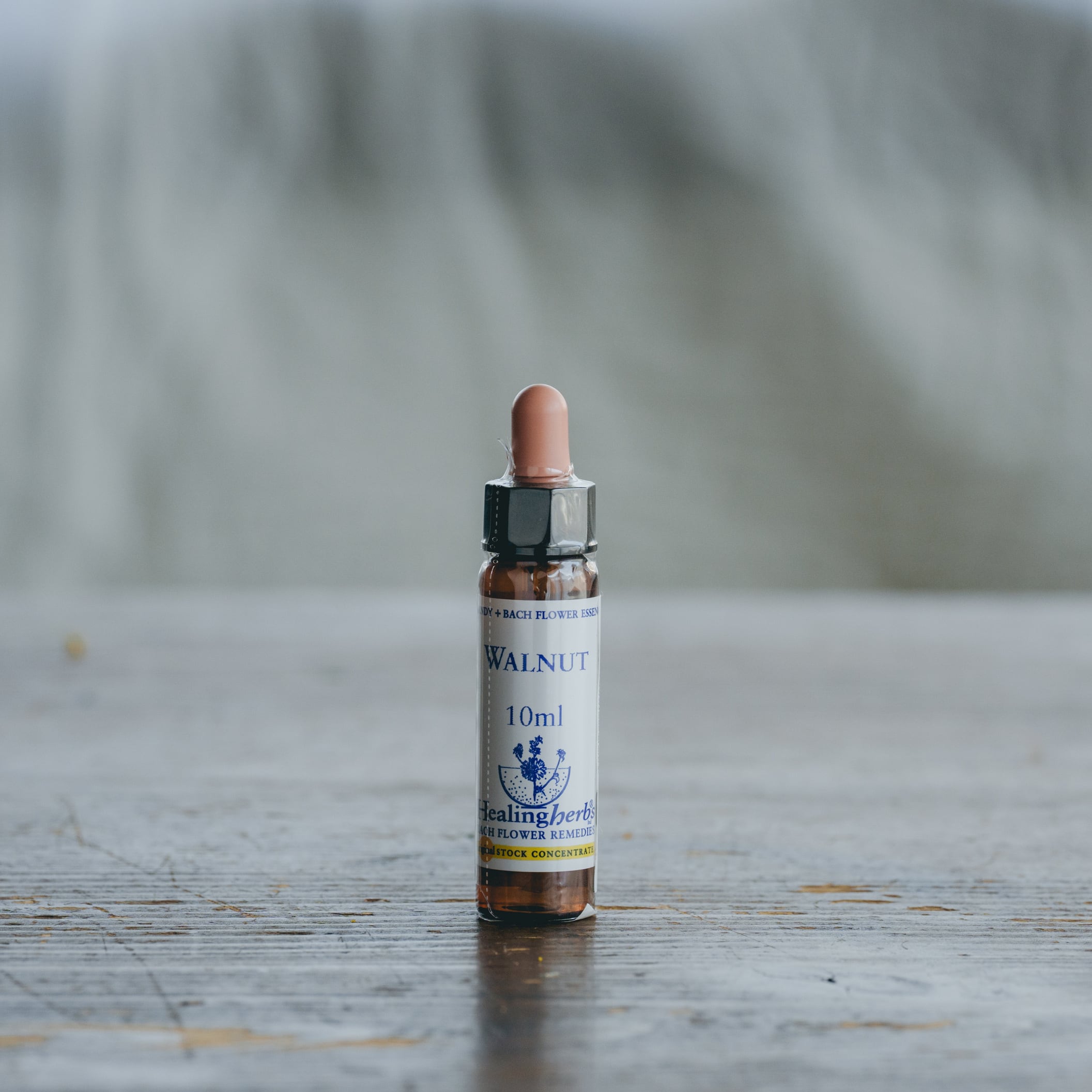 WALNUT/ Healing Herbs フラワーエッセンス | ユーカリとタイヨウ