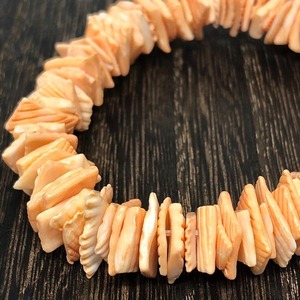 SALE【10g】天然シェル/貝/染色ビーズ/スペーサー