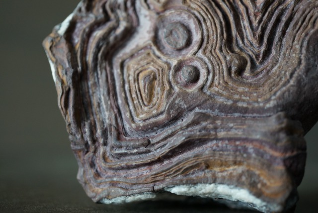 クムル産火山砕屑岩 Volcano-sedimentary Rock 1125