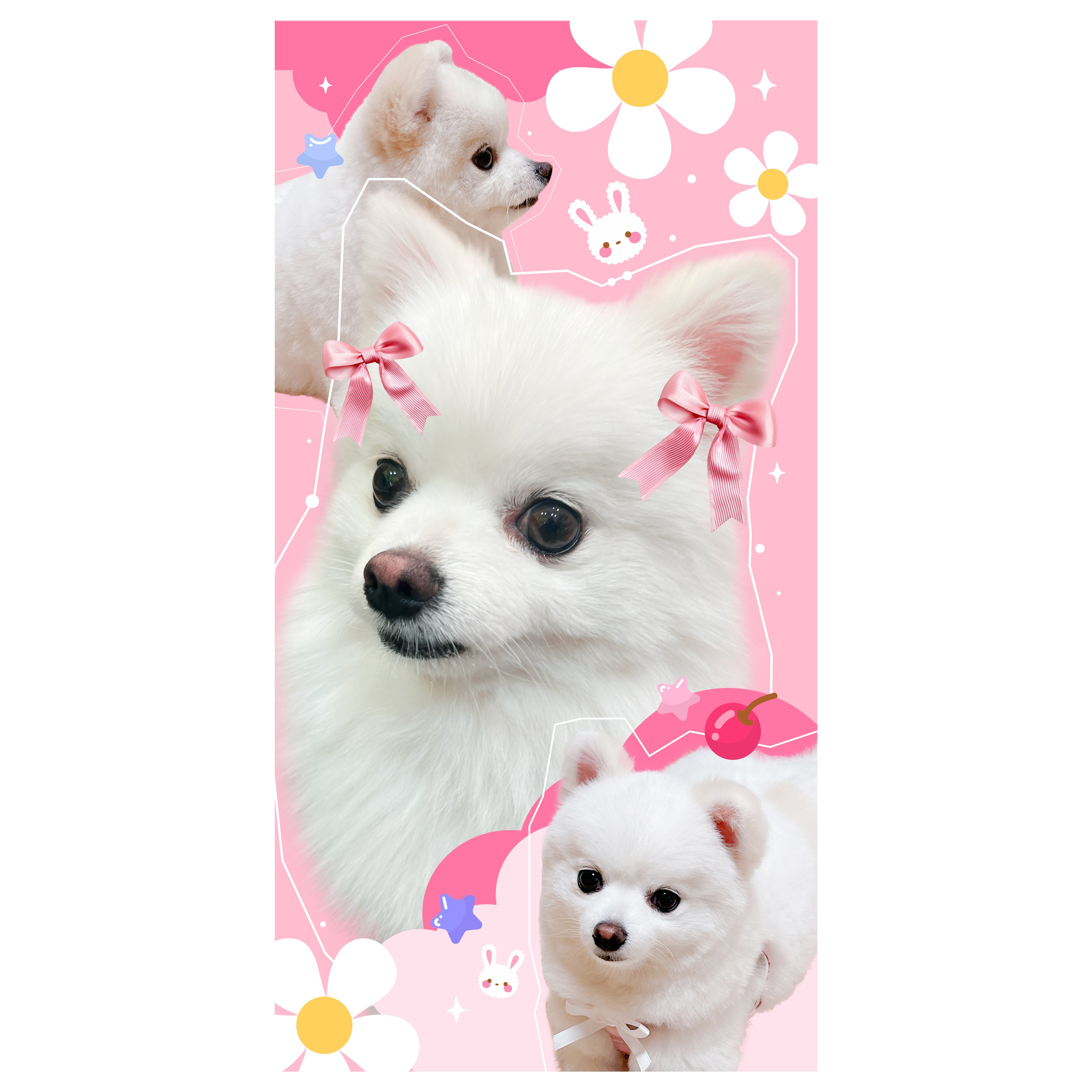 反射スローガン Reflect Slogan | TINYPRO