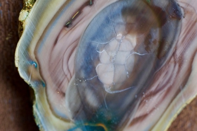 ロイヤルインペリアルジャスパー　Royal Imperial Jasper ③