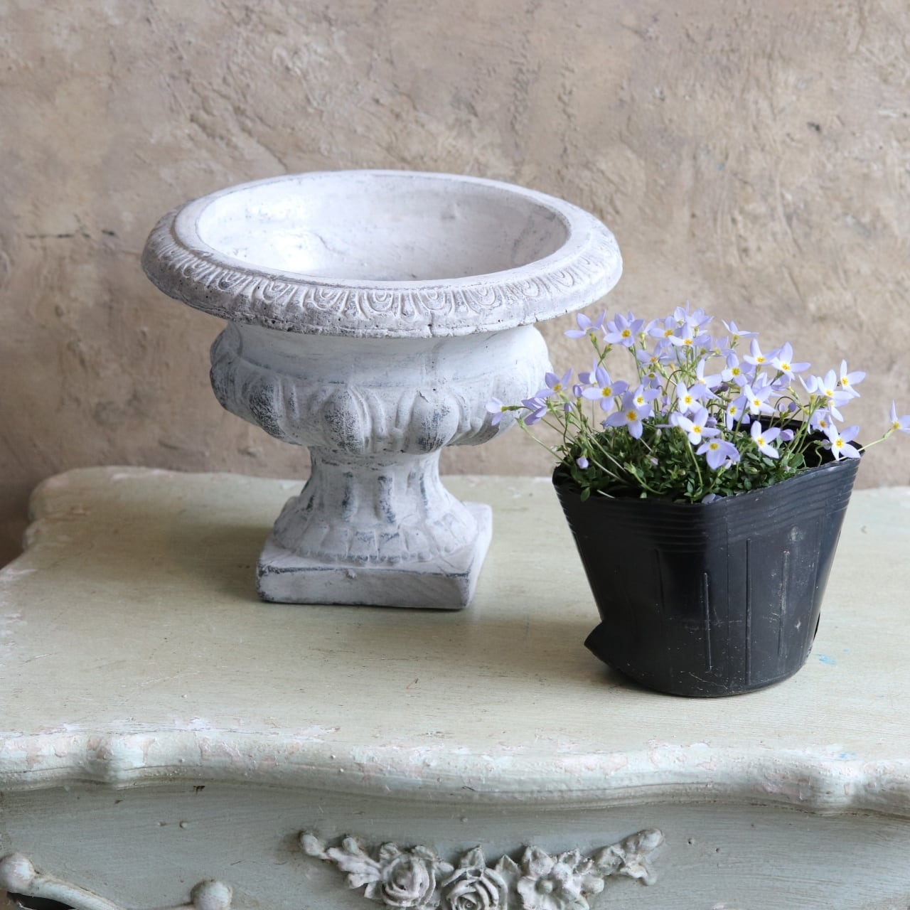 シャビーな陶器の植木鉢と受け皿セット(鉢6個、皿5枚) シャビーな陶器の植木鉢と受け皿セット(鉢6個、皿5枚) - メルカリ