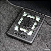 GONESH(ガーネッシュ) 車用置き型芳香剤 ビッグゲルエアフレシュナー No.8(フルーツ系の香り) 180g