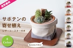 【サボテン寄せ植えと鉢カバー3点セット】サボテン屋さんとのコラボ商品　名入れオプション付き