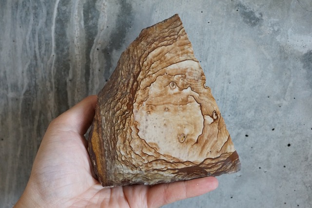 ビッグス・ジャスパー　Biggs Jasper 750