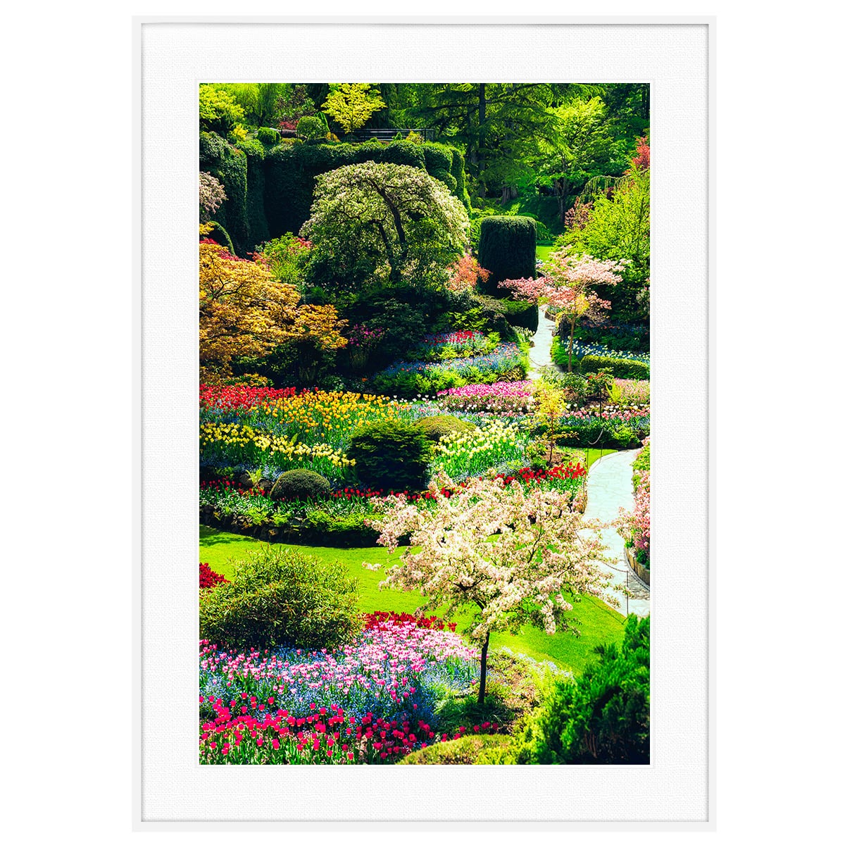 花写真 フランス ジヴェルニー クロード・モネの家 インテリアアート