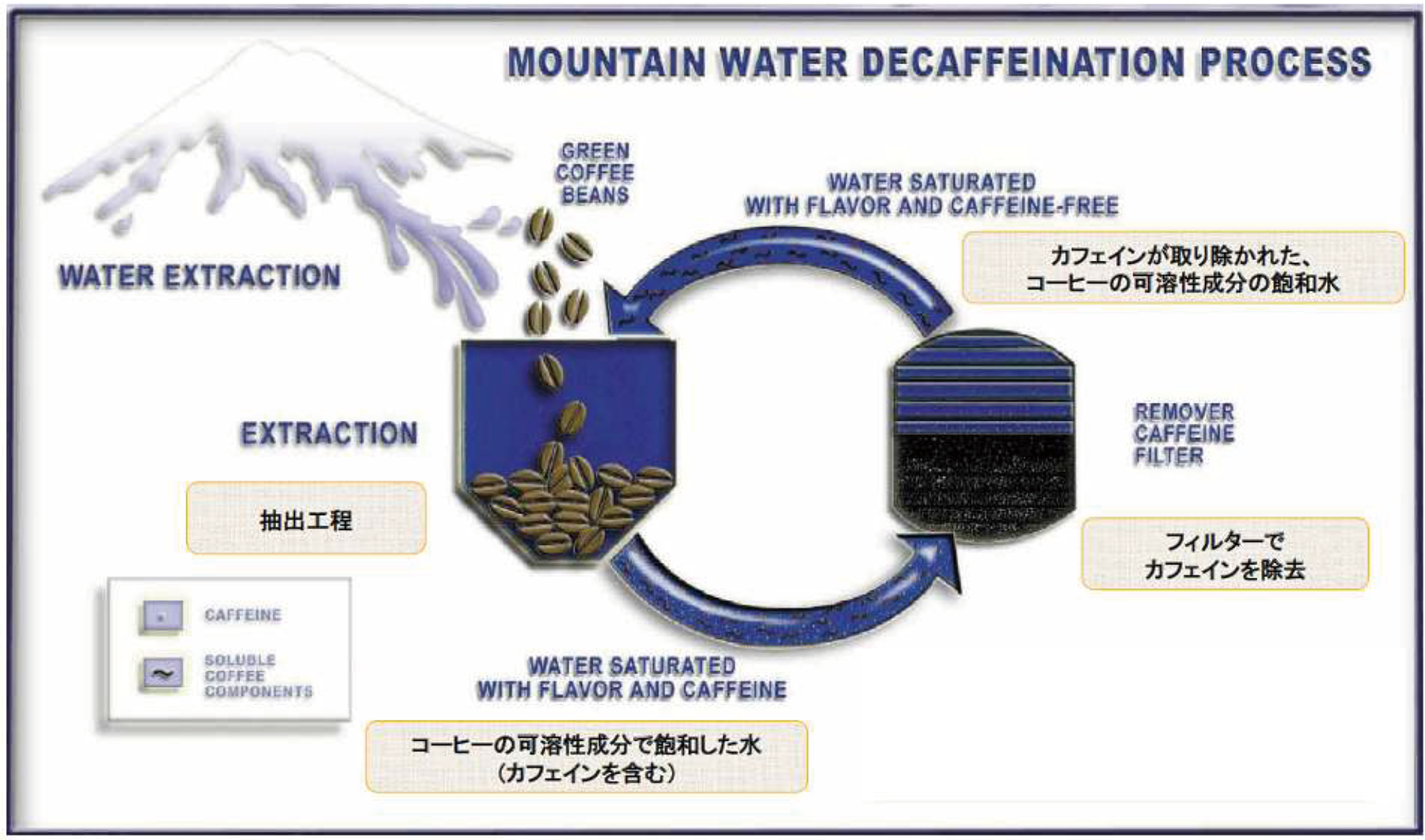 グアテマラ カフェインレス マウンテンウォータープロセス【1000g】 中深煎り  自家焙煎