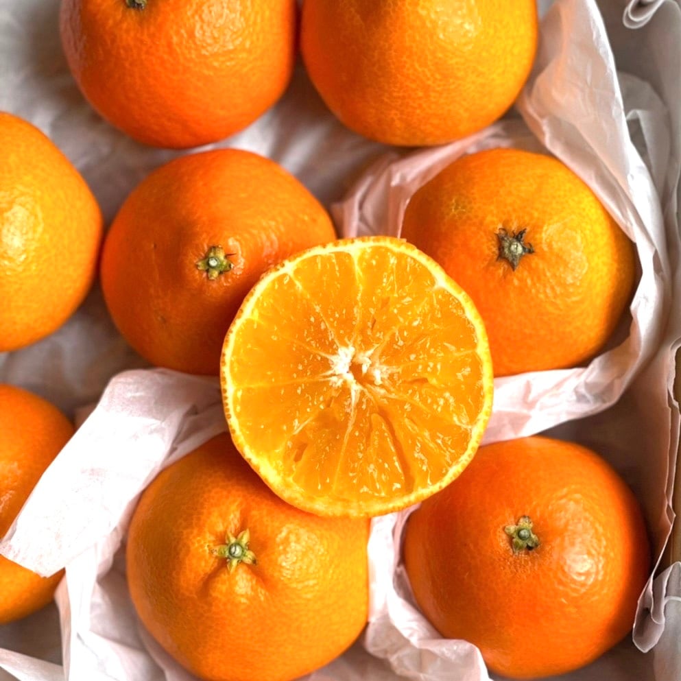 愛媛県岩城島から直送！ 柑橘の女王！紅まどんな 小玉サイズ | THE MARKET