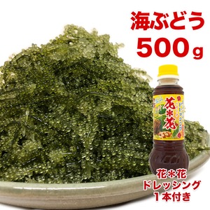 プチプチ食感が自慢の新鮮！海ぶどう500g