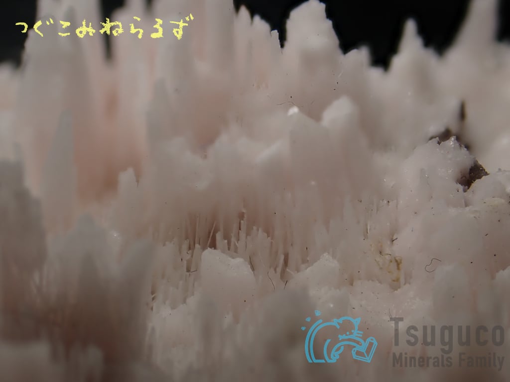 クトナホライト クトナホラ石 Kutnohorite 南アフリカ TM-0022