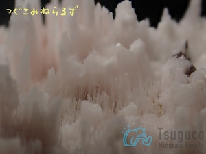 クトナホライト クトナホラ石 Kutnohorite 南アフリカ TM-0022