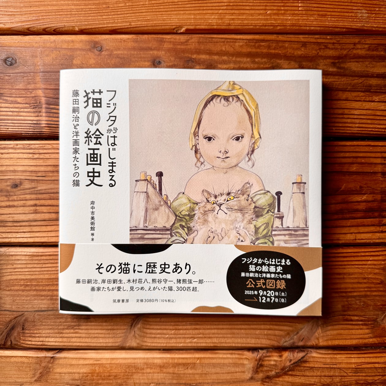 宝島社 見るだけノート 37冊セット 宝島社 見るだけノート 37冊セット 本文のないビジネス＆学習本「見るだけ