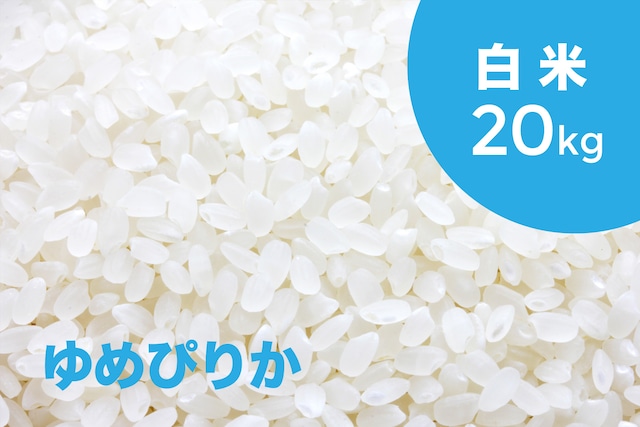 令和4年産 特別栽培米 ゆめぴりか（白米）20kg