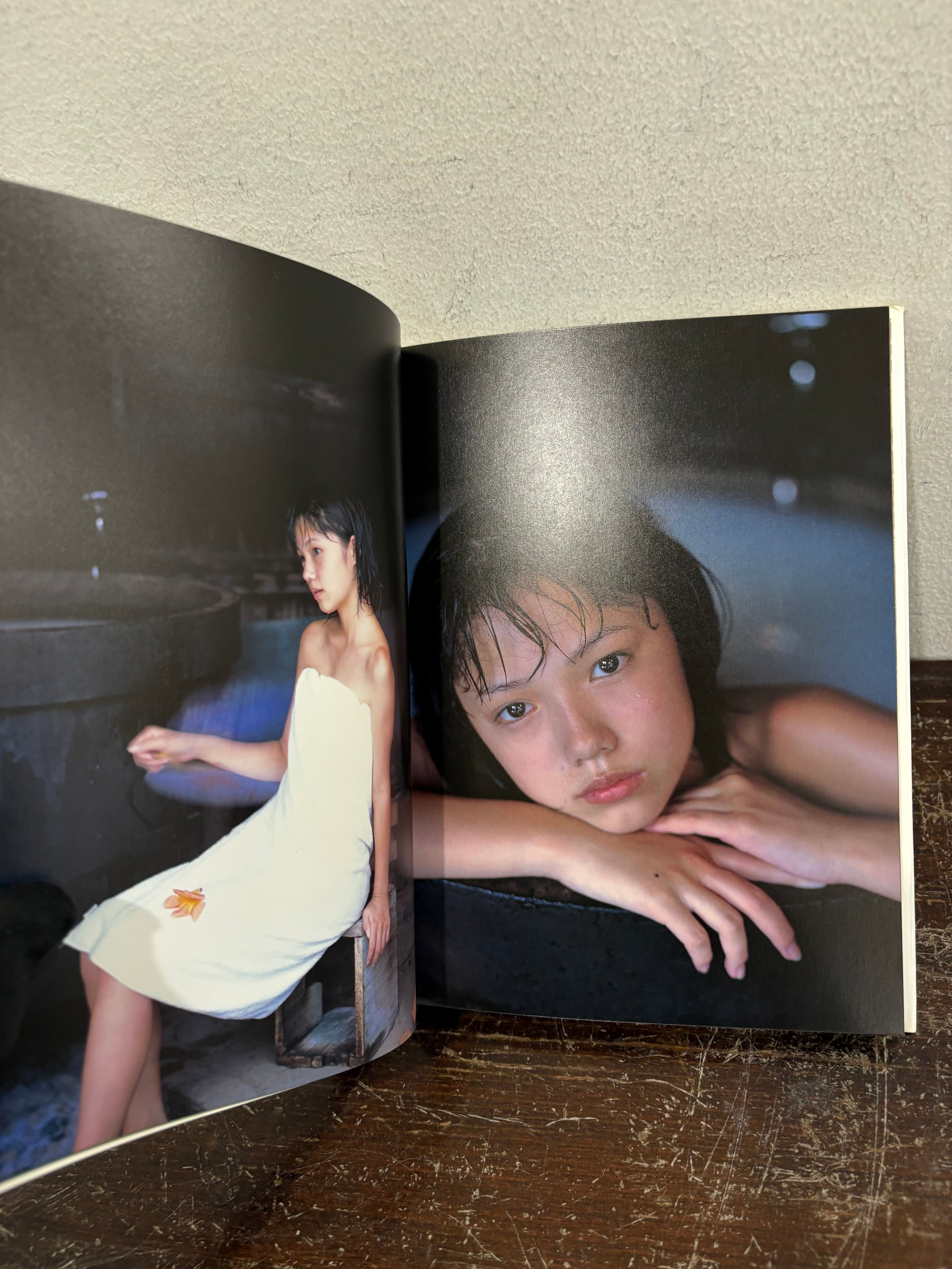 少女日記 宮崎あおい 写真 安珠 | zbooks