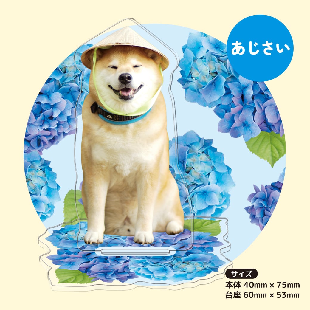 柴犬まる☆アクリルスタンド | marutaroshop