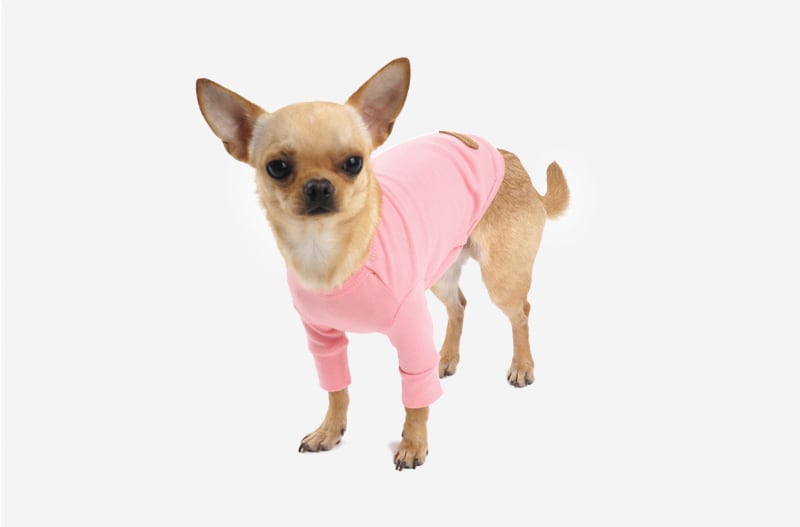 basic t-shirt S ~ 3XL 4color / 犬服 シンプル 無印 Tシャツ 小型犬 中型犬 大型犬 ペット ドッグウェア 部屋着 長袖 トップス cotton top10