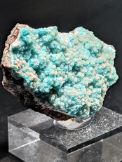 ダイオプテーズinカルサイト Tsumeb Mine, Oshikoto Region, Namibia AR80701113