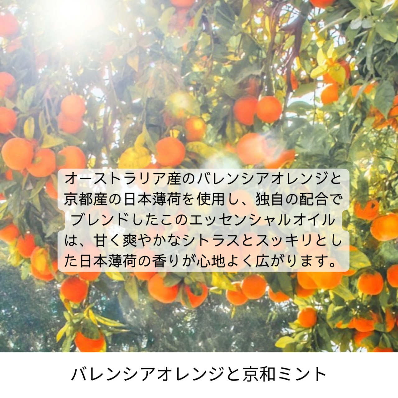 アースリー フレグランス　オレンジミント・エッセンシャルオイル　3㎖