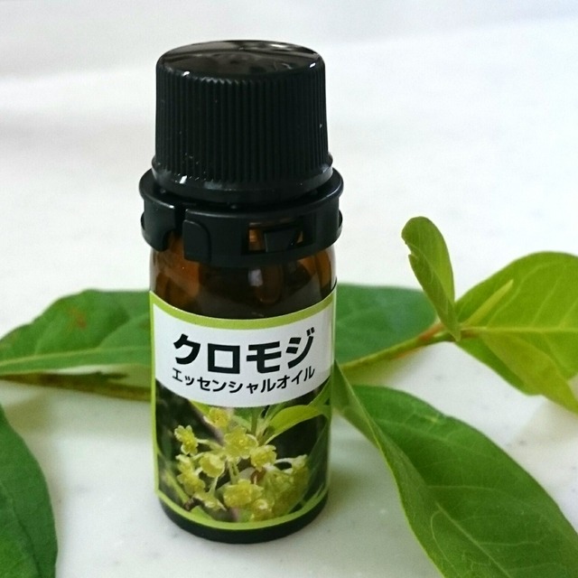 青森クロモジ精油3ml アロマとハーブのお店bernadetteベルナデッタ 青森クロモジ精油3ml アロマとハーブのお店bernadetteベルナデッタ