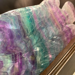 一点物☆希少！激レア！アロワナ・多彩なグラデーション♪レインボーフローライト置物