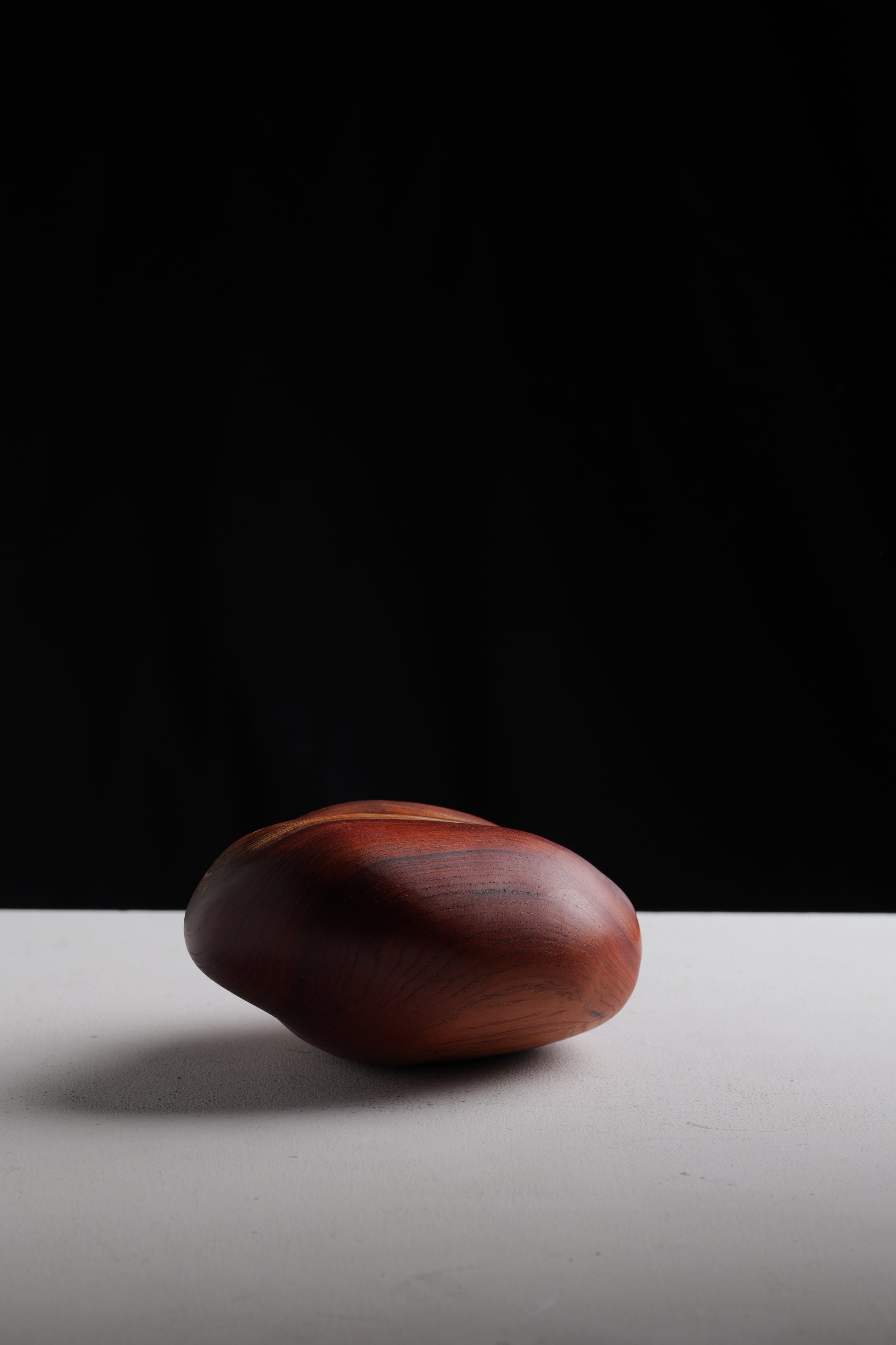 木の石 “wood stone” M ②