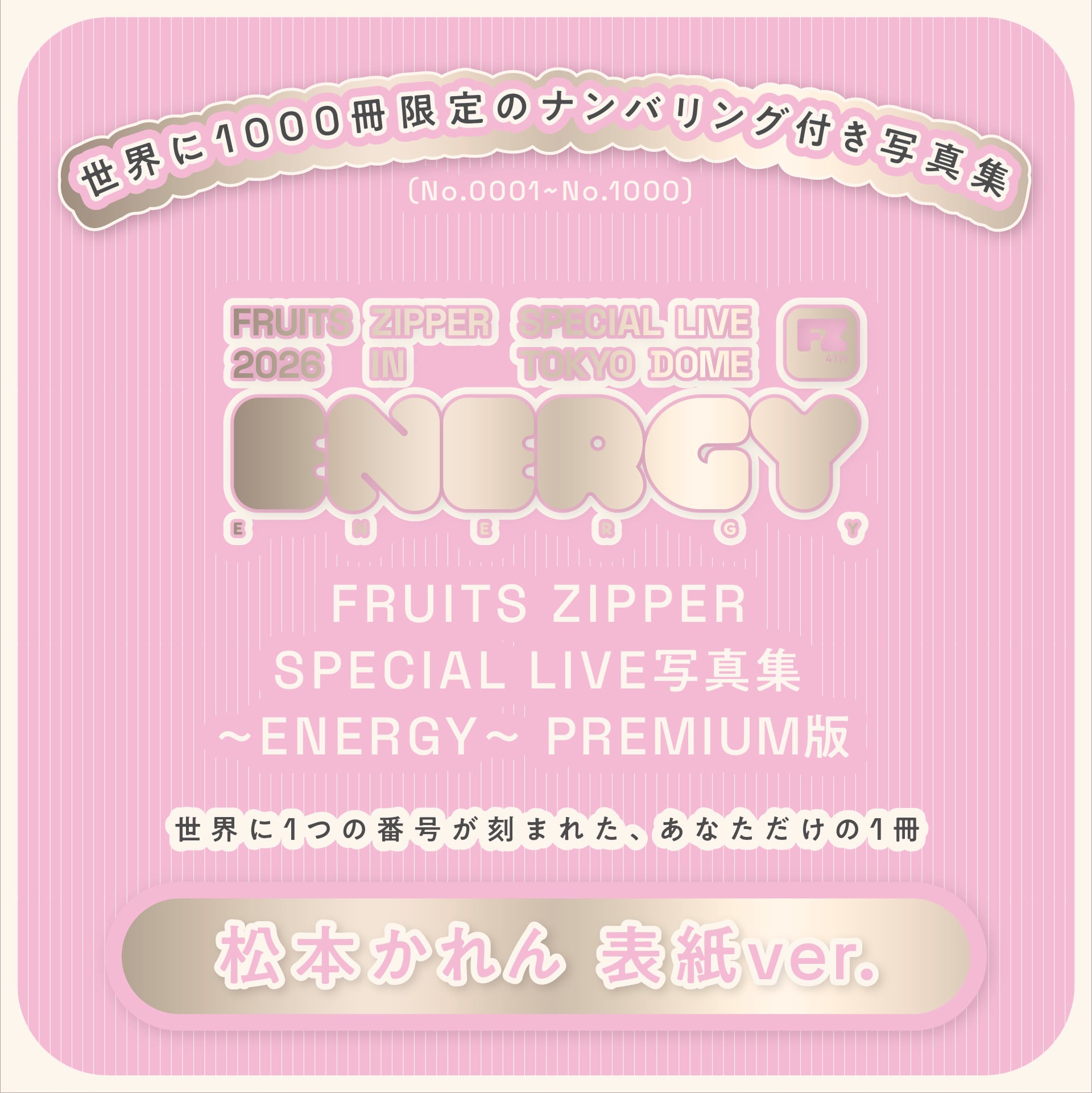 在庫残りわずか※【PREMIUM版】FRUITS ZIPPER SPECIAL LIVE写真集 松本